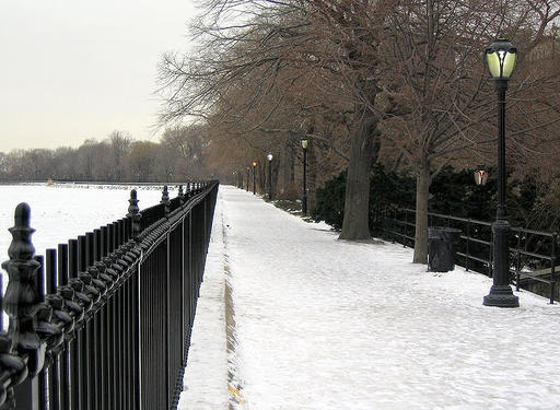 Alone in the Dark: У последней черты - Центральный Парк.Такой,какой он есть на самом деле.