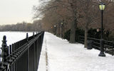 800px-new_york-_central_park-_snowy
