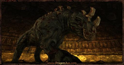Dragon Age: Начало - Dragon age: Origins (фанфик) "ПУТЬ" Глава 6